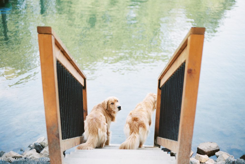 North Carolina Fine Art Film Photographer