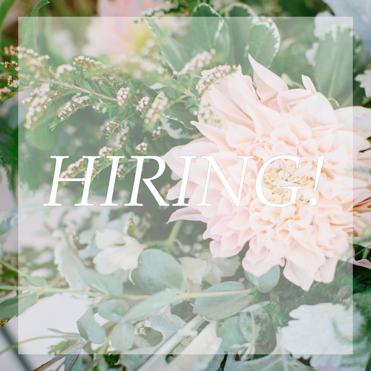 hiring-12